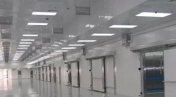 建造安裝一個200㎡的冷凍庫需要多少錢