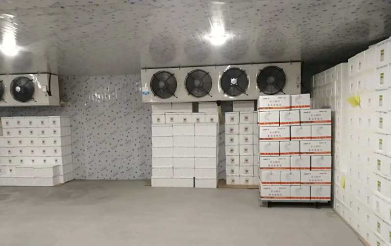建造200噸的冷庫(kù)需要多大面積