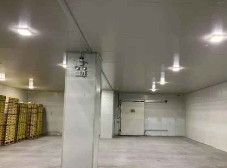 建造一個冷藏冷庫需要花費多少錢