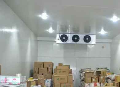 建一個小型冷凍庫大概要多少錢