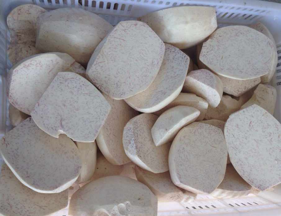 芋頭速凍冷庫可以存儲多久？
