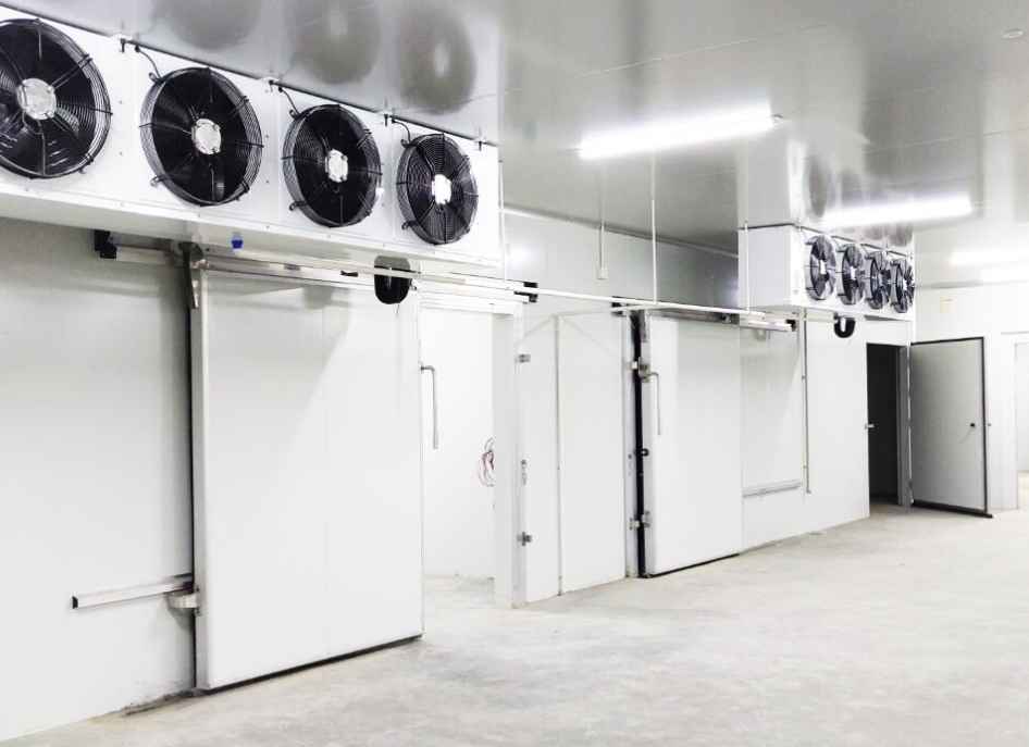 肉類冷凍庫的建造和安裝：每平方米的成本是多少？