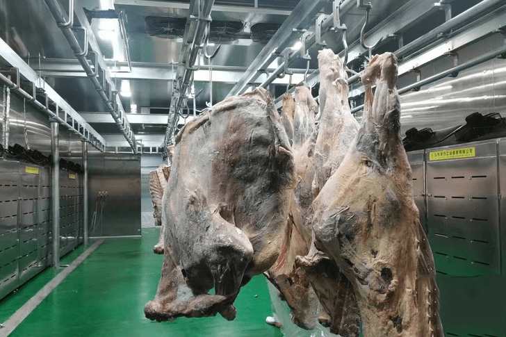 建一個(gè)3000噸羊肉冷庫(kù)需要多少錢